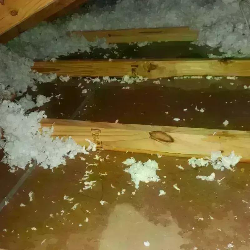 Best Attic Water Damage Service in Bell Acres, PA